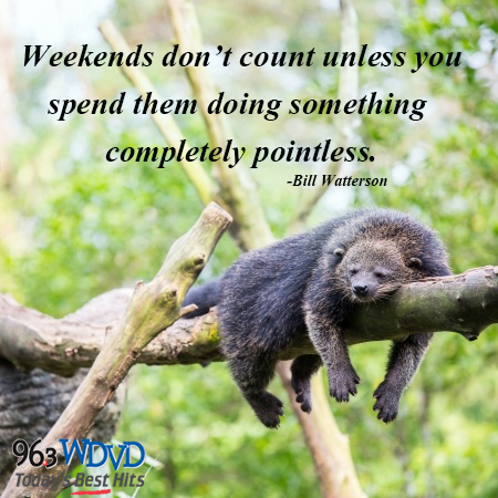 Weekends don’t count unless… #QuotesToGo | wdvd-fm